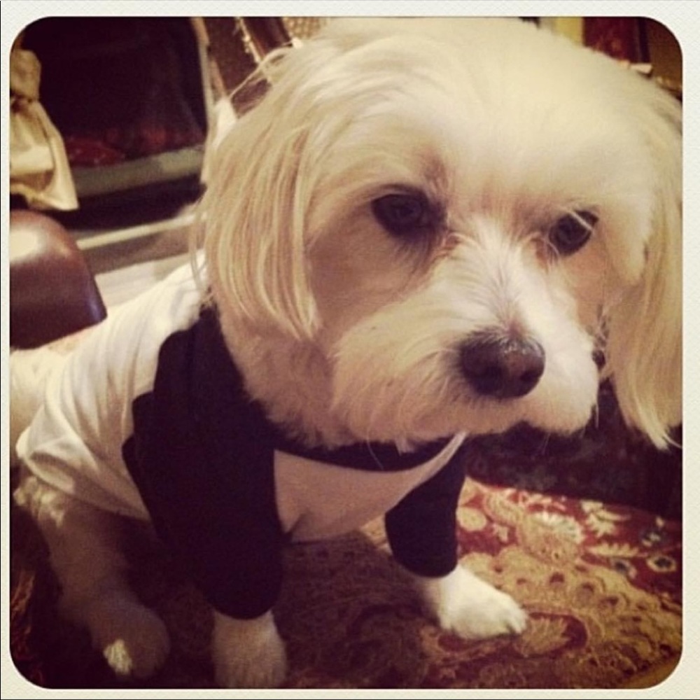 Meet your Posher, Tina